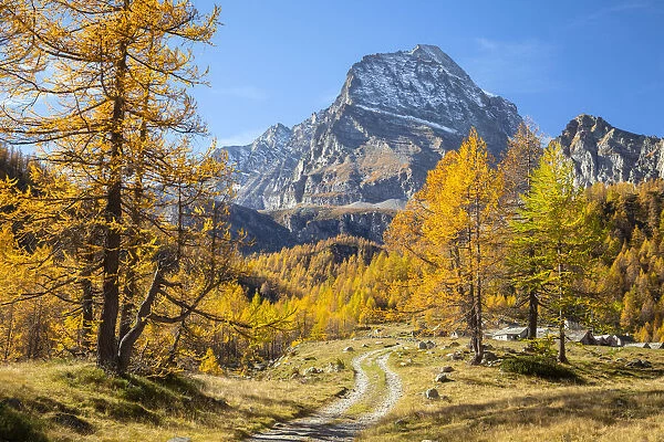 Autumnal view of the road leading to the small mountain village of Cianciavero