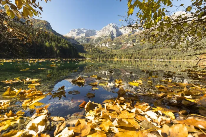 Framed Print : an autumnal view of the Tovel Lake (Lago di Tovel) with the Brenta Group in the background Framed Print : an autumnal view of the Tovel Lake (Lago di Tovel) with the Brenta Group in the background