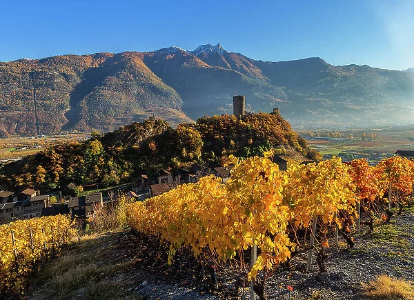 Autumnal view of the vineyards of Saillon with Towers castle ruins, saillon, rhone valley, Valais, Switzerland