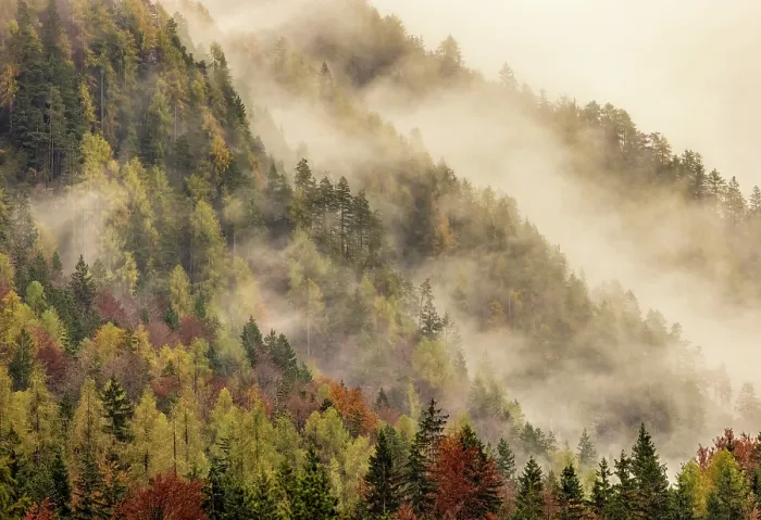 Framed Print : Autumnal woodland and mist, Lake Jasna, near Kranjska Gora, Slovenia Framed Print : Autumnal woodland and mist, Lake Jasna, near Kranjska Gora, Slovenia