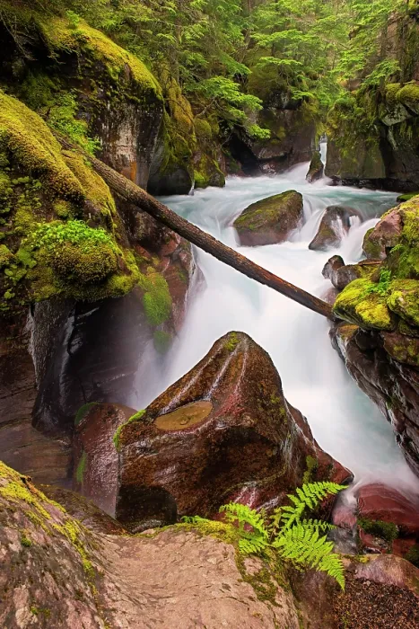 Framed Print : Avalanche Gorge, Glacier National Park, Montana, USA Framed Print : Avalanche Gorge, Glacier National Park, Montana, USA
