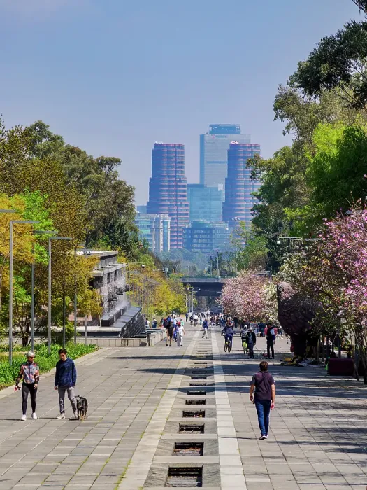 Framed Print : Avenida de los Compositores, Bosque de Chapultepec Park, Mexico City, Mexico