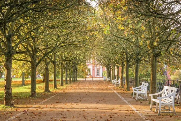 Framed Print : Avenue in autumn at Biebrich Castle, Wiesbaden, Hesse, Germany Framed Print : Avenue in autumn at Biebrich Castle, Wiesbaden, Hesse, Germany