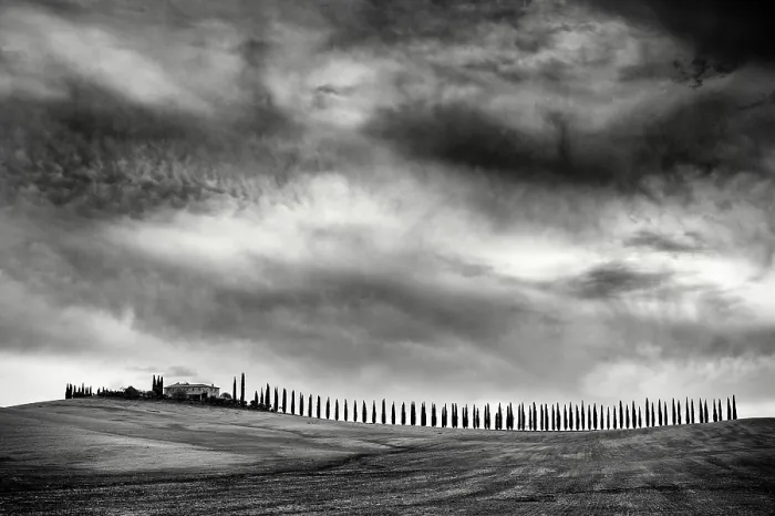 Framed Print : Avenue of cypress trees, Poggio Covili, Val d'Orcia, near San Quirico d'Orcia, Tuscany, Italy Framed Print : Avenue of cypress trees, Poggio Covili, Val d'Orcia, near San Quirico d'Orcia, Tuscany, Italy