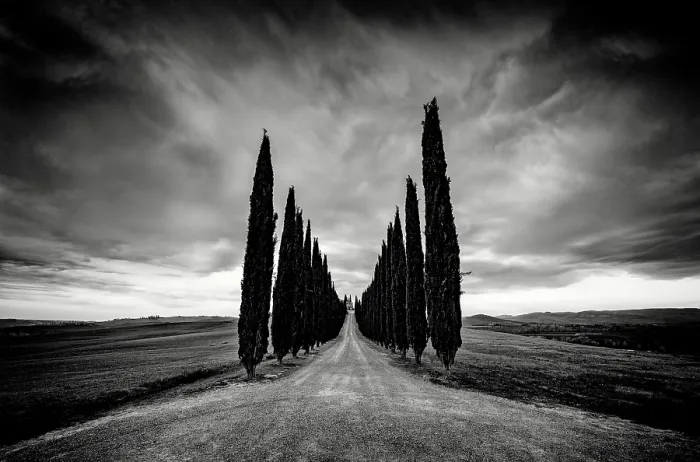 Framed Print : Avenue of cypress trees, Poggio Covili, Val d'Orcia, near San Quirico d'Orcia, Tuscany, Italy Framed Print : Avenue of cypress trees, Poggio Covili, Val d'Orcia, near San Quirico d'Orcia, Tuscany, Italy