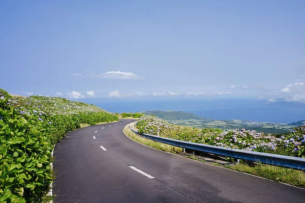 Azores, Portugal. Scenic route on the ocean with flowers and lanscape