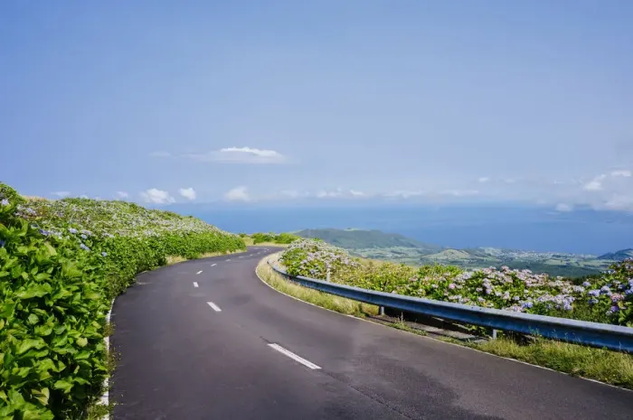 Framed Print : Azores, Portugal. Scenic route on the ocean with flowers and lanscape Framed Print : Azores, Portugal. Scenic route on the ocean with flowers and lanscape