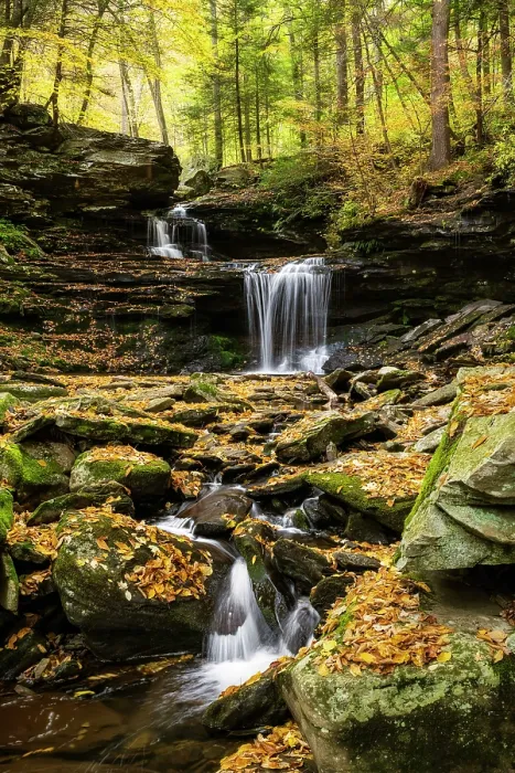 Framed Print : B. Reynolds Falls in Autumn, Ricketts Glen State Park, Benton, Pennsylvania, USA Framed Print : B. Reynolds Falls in Autumn, Ricketts Glen State Park, Benton, Pennsylvania, USA
