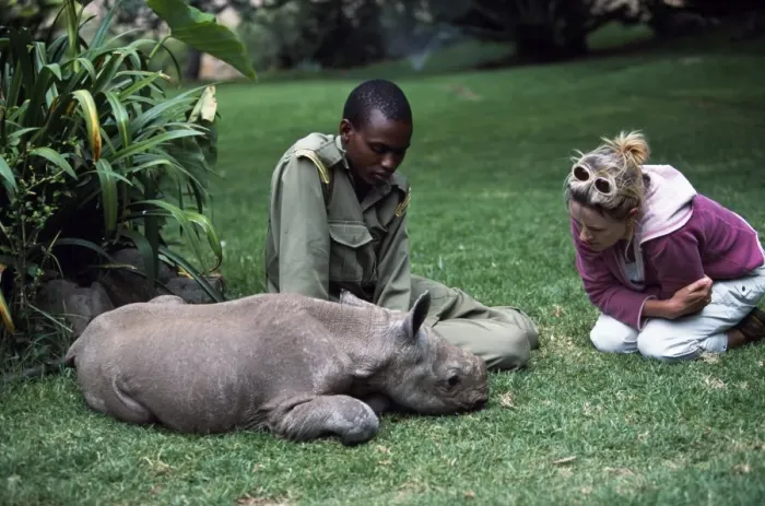Framed Print : Baby Rhino Framed Print : Baby Rhino