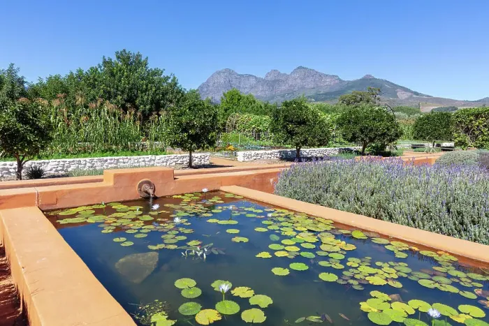 Framed Print : Babylonstoren wine estate, Franschhoek, Western Cape, South Africa