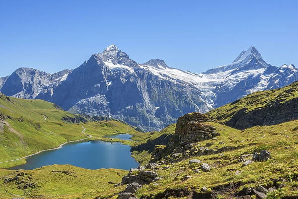 Bachalpsee with Wetterhorn and Schreckhorn, Grindelwald, Berner Oberland, Canton Berne