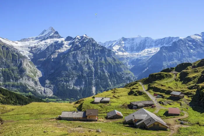 Framed Print : Bachlager Alp near First with Schreckhorn and Fiescherhorn, Grindelwald, Berner Oberland Framed Print : Bachlager Alp near First with Schreckhorn and Fiescherhorn, Grindelwald, Berner Oberland