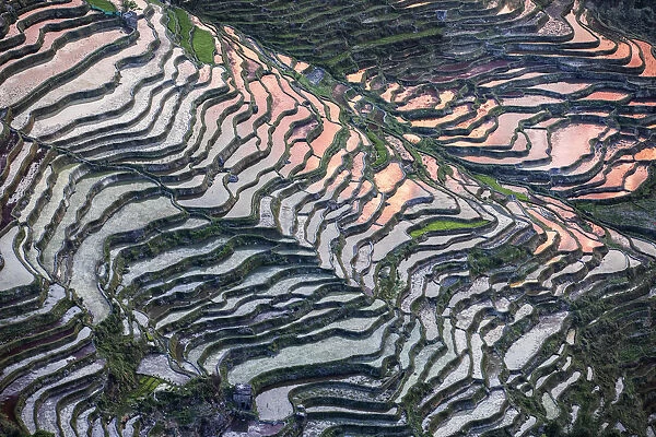 Bada rice terraces in yuanyang rice terraces area, Yunnan, Southern China, China