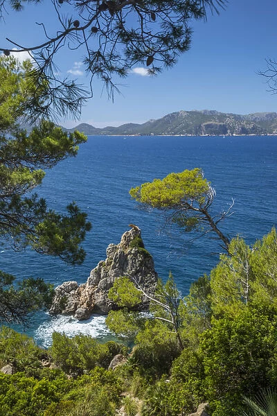 Badia de Polencia, Mallorca, Balearic Islands, Spain