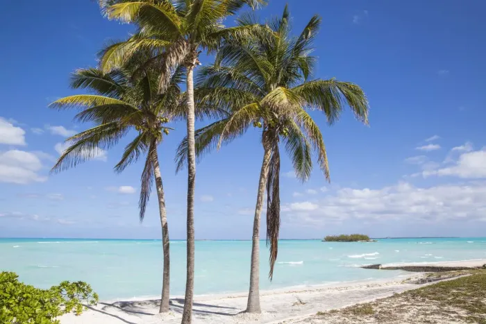 Framed Print : Bahamas, Abaco Islands, Great Abaco, Beach at Treasure Cay Framed Print : Bahamas, Abaco Islands, Great Abaco, Beach at Treasure Cay