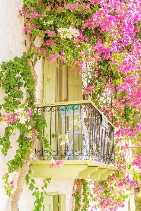 Framed Print : Balcony, Symi, Dodecanese Islands, Greece Framed Print : Balcony, Symi, Dodecanese Islands, Greece