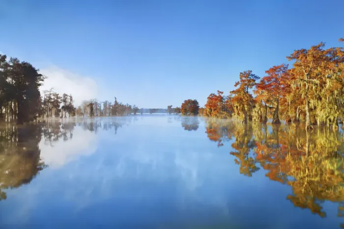 Framed Print : Bald cypress forest in autumn colours with fog - USA, Louisiana, St. Martin, Lake Martin Framed Print : Bald cypress forest in autumn colours with fog - USA, Louisiana, St. Martin, Lake Martin