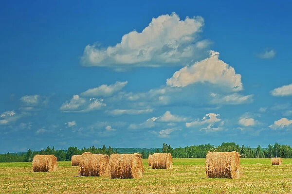 Bales and clouds New Liskeard, Ontario, Canada