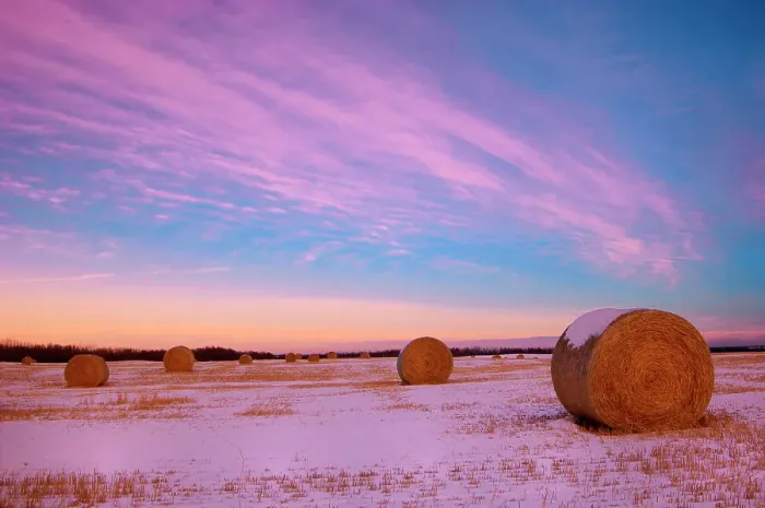 Framed Print : Bales and clouds at sunset Stony Plain, Alberta, Canada