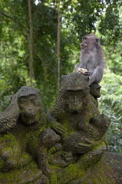 Bali, Ubud. A Macaque sitting on a stone carving of a Macaque