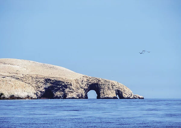 Ballestas Islands near Paracas, Ica Region, Peru