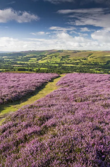 Framed Print : Bamford Edge, Peak District National Park, Derbyshire, England