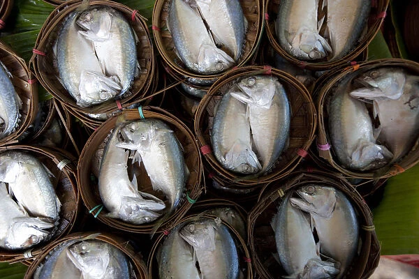 Bangkok, Thailand. Fish for sale in a market in Bangkok #19437503