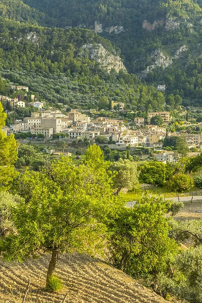 Banyalbufar, Serra de Tramuntana, Mallorca, Balearic Islands, Spain