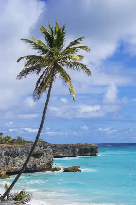 Framed Print : Barbados, Bottom Bay