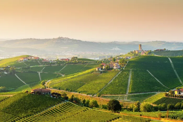 Framed Print : Barbaresco and the Langhe hills at sunset. Barbaresco, Langhe region, Cuneo province, Piedmont, Italy Framed Print : Barbaresco and the Langhe hills at sunset. Barbaresco, Langhe region, Cuneo province, Piedmont, Italy