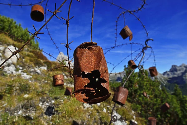 Barbed wire with old tin cans with bullet holes, 1st World War Freilichtmusem, Monte