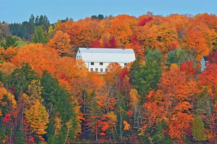 Framed Print : Barn and the Acadian forest in autumn foliage. Rolling hills. Mactaquac, New Brunswick, Canada Framed Print : Barn and the Acadian forest in autumn foliage. Rolling hills. Mactaquac, New Brunswick, Canada