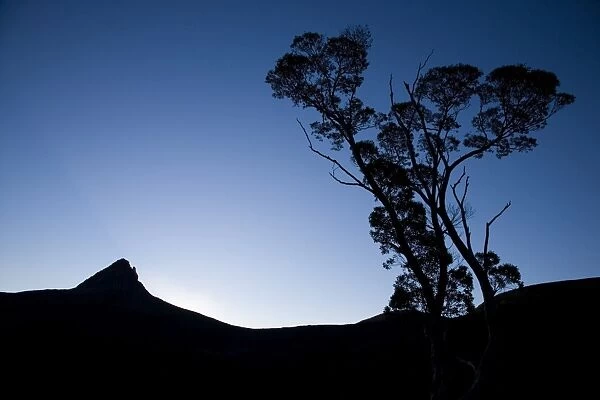 Barn Bluff seen from Waterfall Valley on the Overland Track