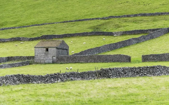 Framed Print : Barn and dry stone walls near Castleton, Peak District National Park, Derbyshire, England Framed Print : Barn and dry stone walls near Castleton, Peak District National Park, Derbyshire, England