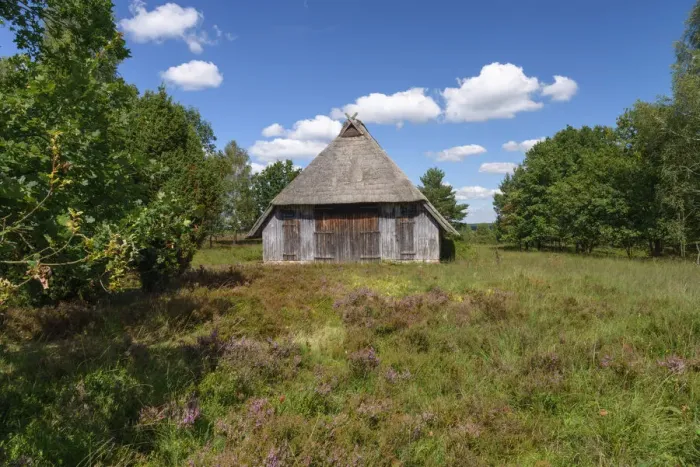 Framed Print : Barn for sheep in heathland (Calluna vulgaris), Lueneburg Heath in Lower Saxony, Germany Framed Print : Barn for sheep in heathland (Calluna vulgaris), Lueneburg Heath in Lower Saxony, Germany
