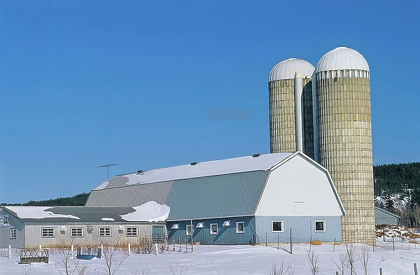 Barn and silo on dairy farm in winter Ville-Marie, Quebec, Canada