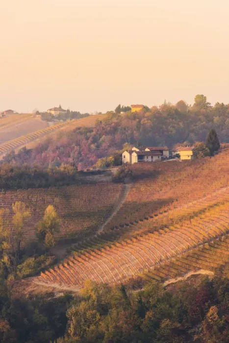 Framed Print : Barolo, Cuneo Province, Piedmont, Italy