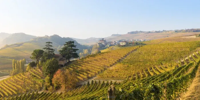 Framed Print : Barolo, Cuneo Province, Piedmont, Italy Framed Print : Barolo, Cuneo Province, Piedmont, Italy