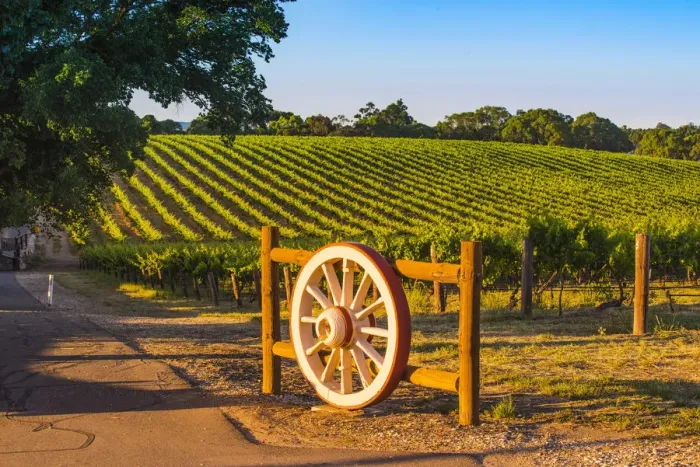 Framed Print : Barossa Valley, South Australia, Australia Framed Print : Barossa Valley, South Australia, Australia