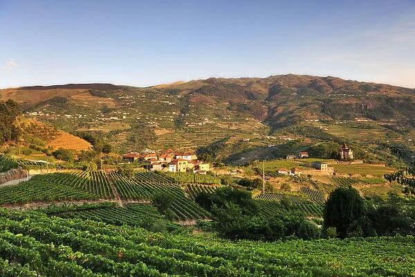Barqueiros, over the Douro river is in a very good region to produce wine. Portugal