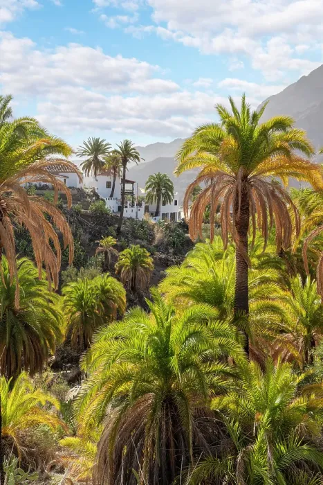 Framed Print : Barranco near Fataga, Valley of a thousand palm trees, Gran Canaria, Canary Islands, Spain Framed Print : Barranco near Fataga, Valley of a thousand palm trees, Gran Canaria, Canary Islands, Spain