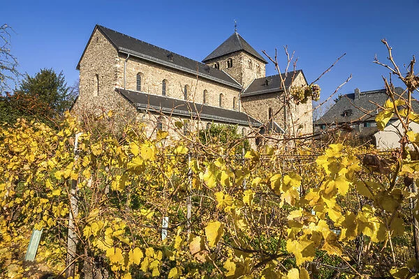 Basilica Sankt Gogidius in Mittelheim, Rheingau, Hesse, Germany