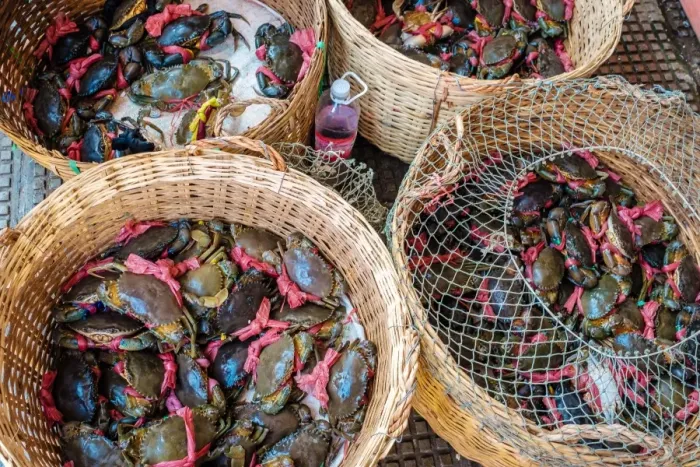 Framed Print : Baskets of live crabs for sale at Central Market (Psah Thom Thmey), Phnom Penh, Cambodia Framed Print : Baskets of live crabs for sale at Central Market (Psah Thom Thmey), Phnom Penh, Cambodia