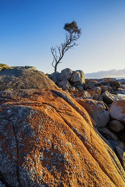 Bay of Fires, Binalong Bay, Tasmania