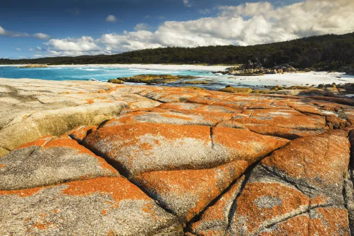 Framed Print : Bay of Fires, Binalong Bay, Tasmania Framed Print : Bay of Fires, Binalong Bay, Tasmania
