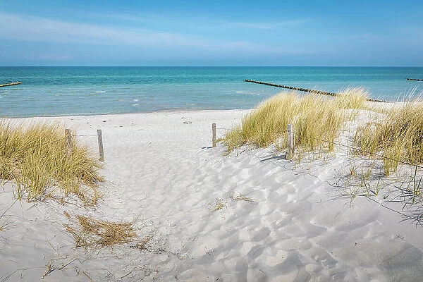 Beach access near Prerow, Mecklenburg-West Pomerania, Northern Germany, Germany