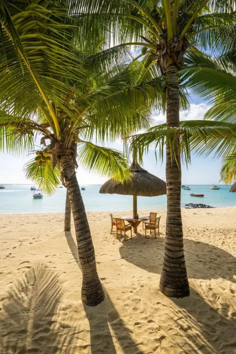 Framed Print : The beach of the Beachcomber Paradis Hotel at sunset, Le Morne Brabant Peninsula Framed Print : The beach of the Beachcomber Paradis Hotel at sunset, Le Morne Brabant Peninsula