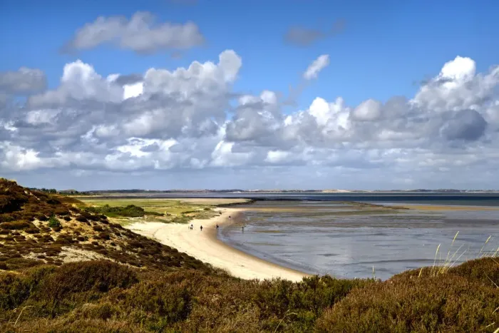 Framed Print : Beach at Braderup heathland, Braderup, Sylt Island, North Frisian Islands, Schleswig Framed Print : Beach at Braderup heathland, Braderup, Sylt Island, North Frisian Islands, Schleswig