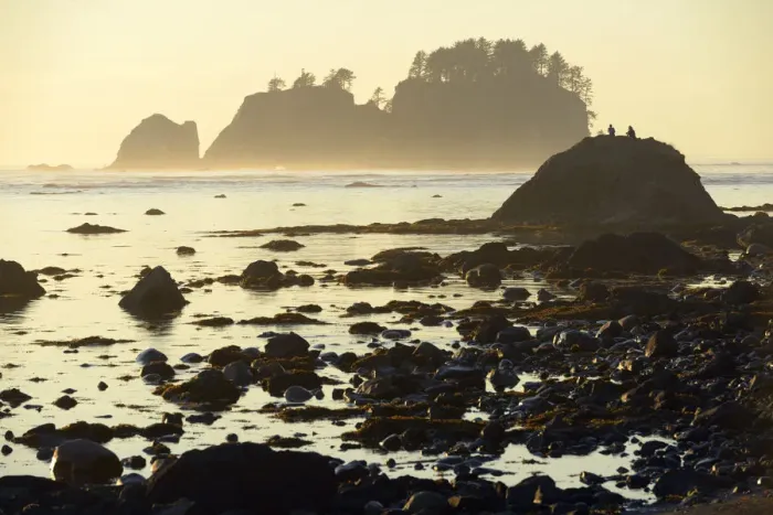 Framed Print : Beach at Cape Alava, Olympic National Park, Clallam County, Washington, USA