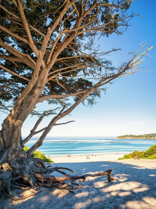 Framed Print : Beach at Carmel-by-the-Sea, Monterey Bay, California, USA Framed Print : Beach at Carmel-by-the-Sea, Monterey Bay, California, USA